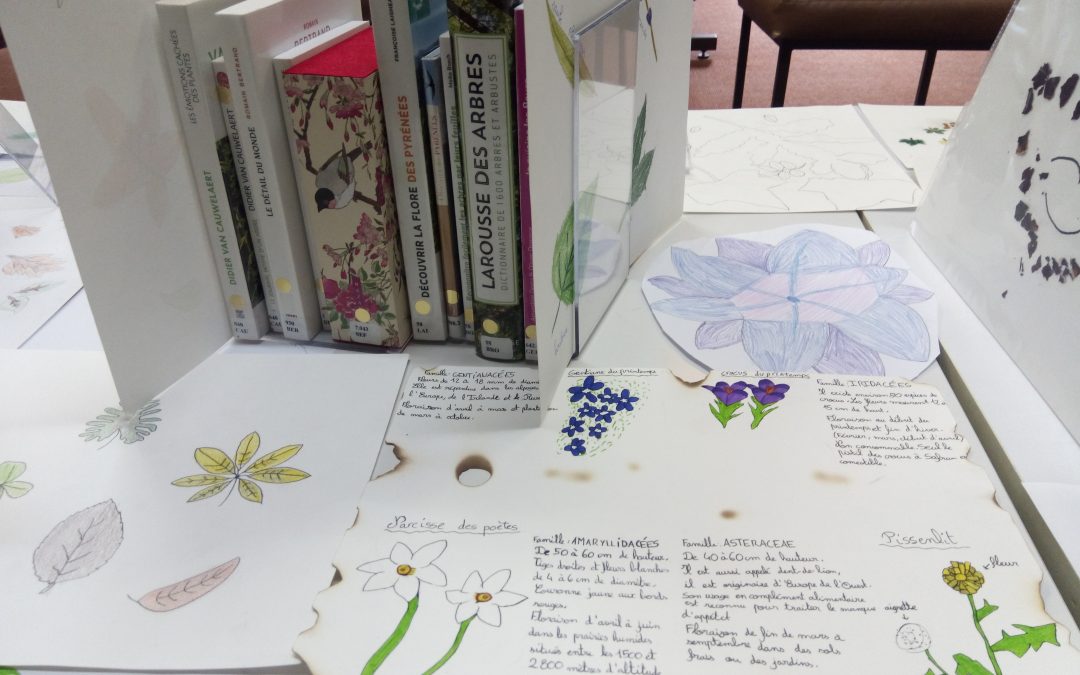 Naturalistes en herbe !