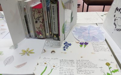 Naturalistes en herbe !