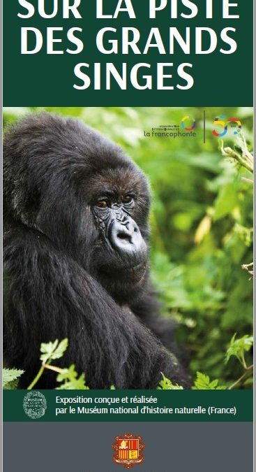 Sur la piste des grands singes, exposition du 12 au 30 avril